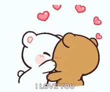 GIF Lucu Pembuka